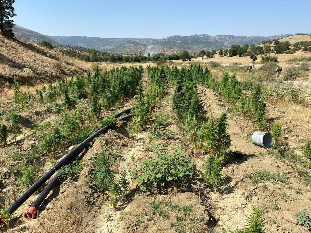 Diyarbakır’da ‘Eren Abluka-33 Şehit Jandarma Uzman Çavuş Muhammet Tufan’ operasyonu başlatıldı