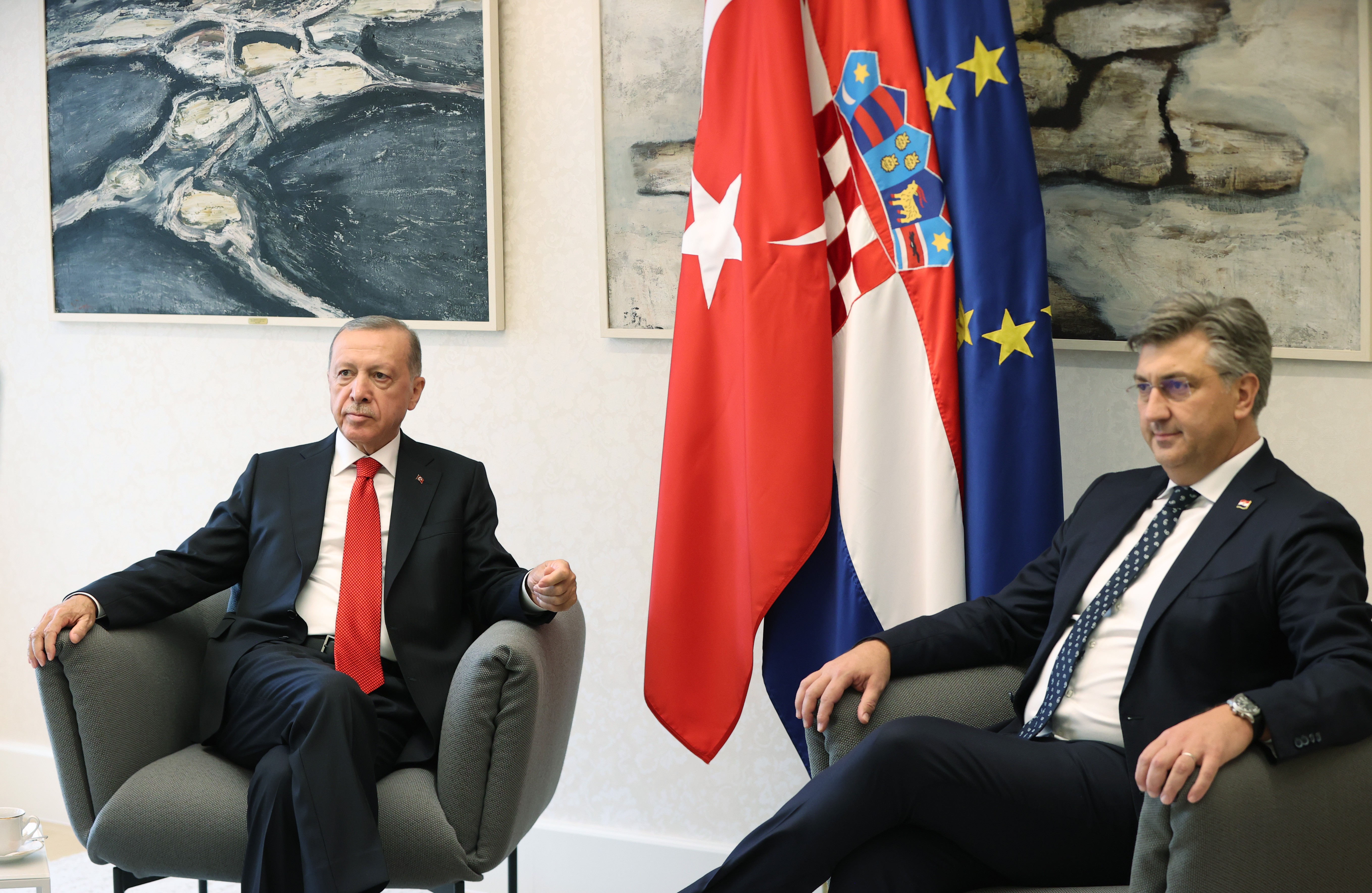 Cumhurbaşkanı Erdoğan, Hırvatistan Başbakanı Plenkoviç'i kabul etti