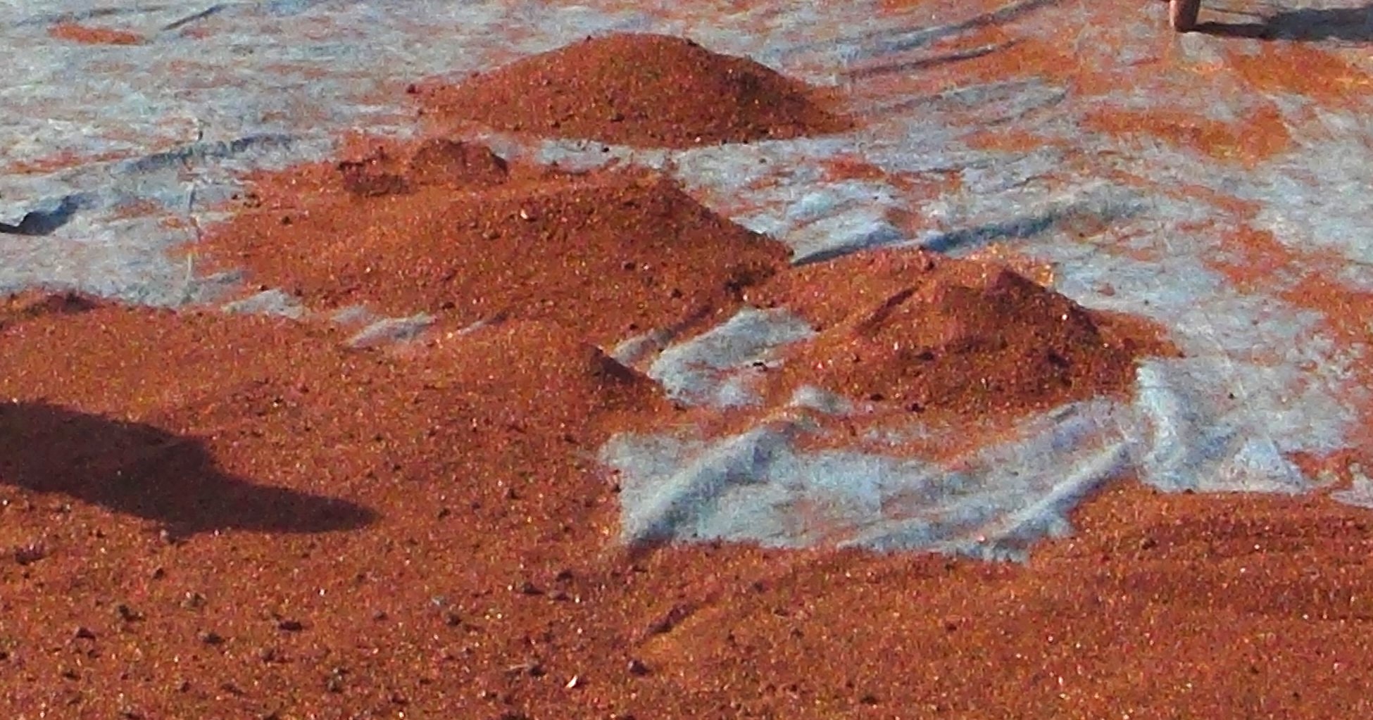 Vazgeçilmez baharat 'Urfa isotu'