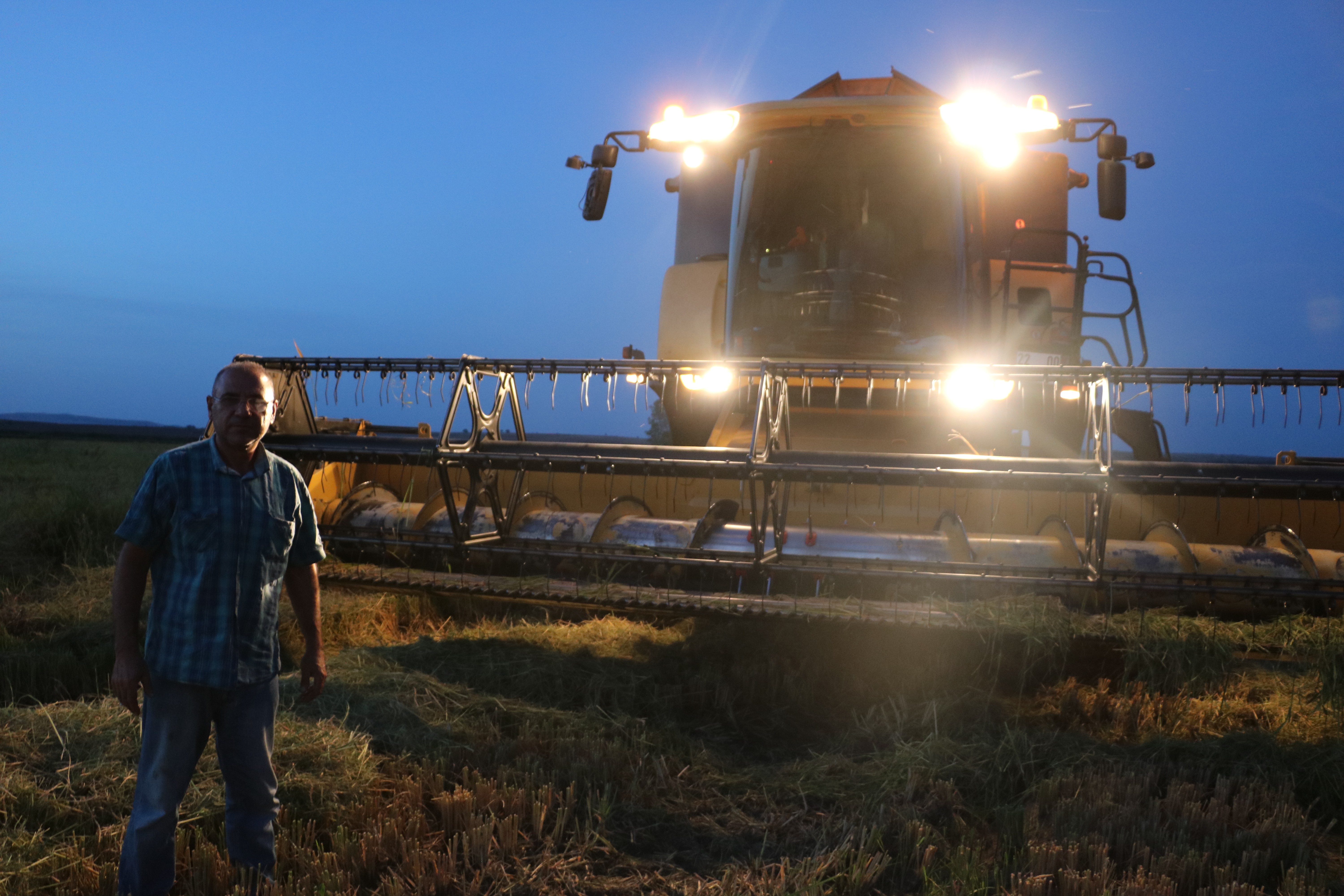 Edirne’de beyaz altın çeltik hasadı başladı