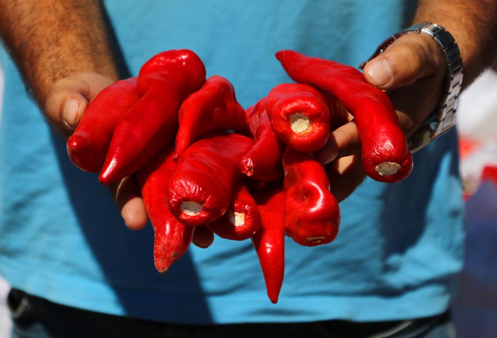 Adana’da salça sezonu başladı, damlar kırmızıya boyandı