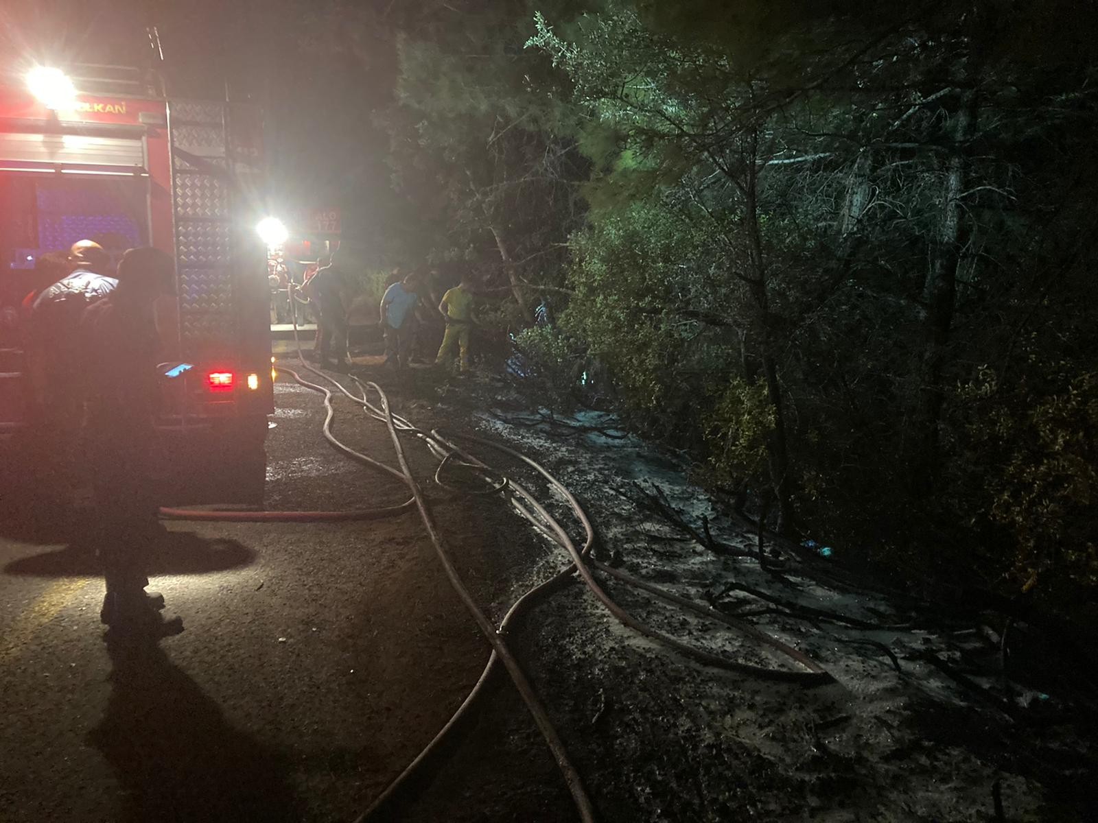 Milli Park'ta orman yangını çıktı, facia ucuz atlatıldı