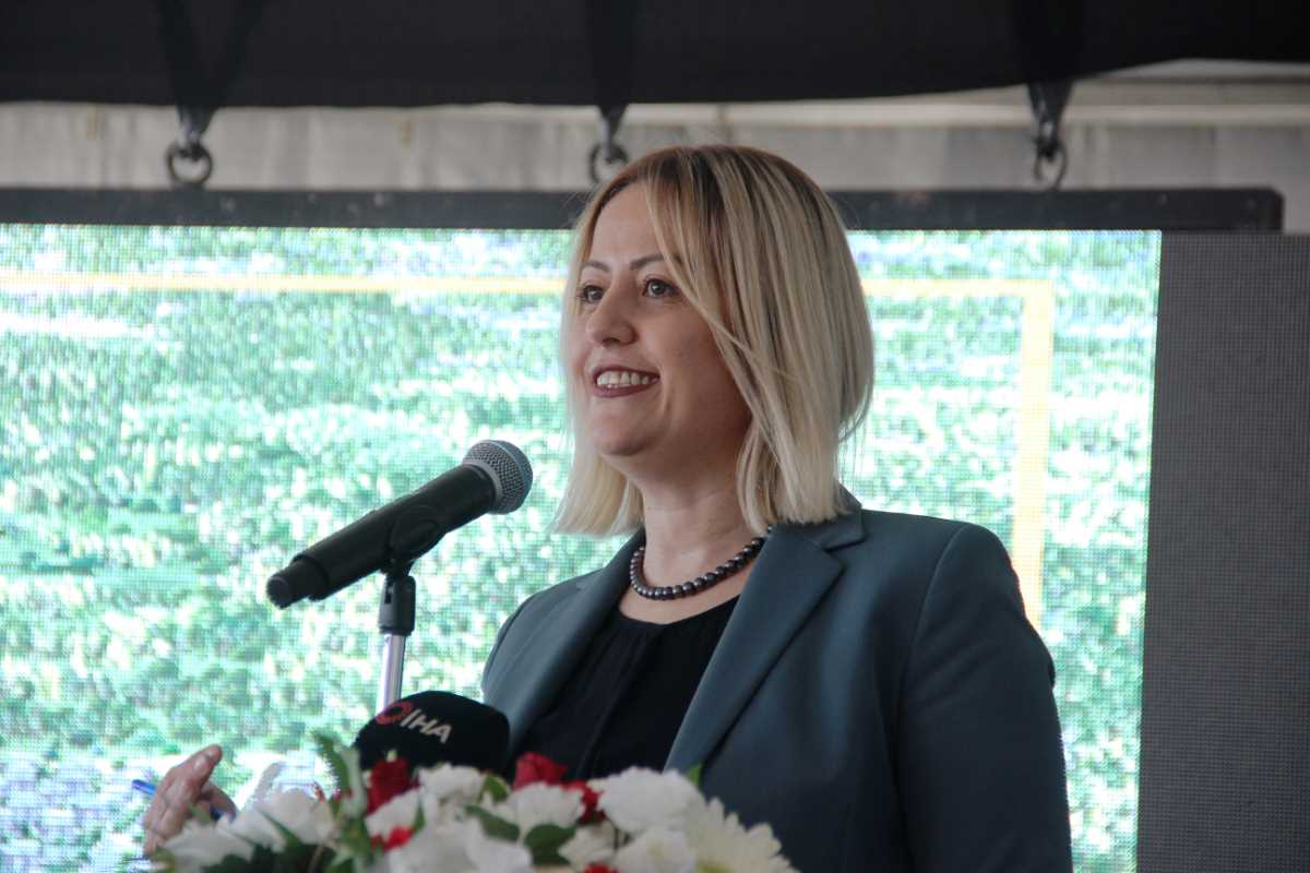 Roge Marine ile yeni bir Çandarlı kuruluyor