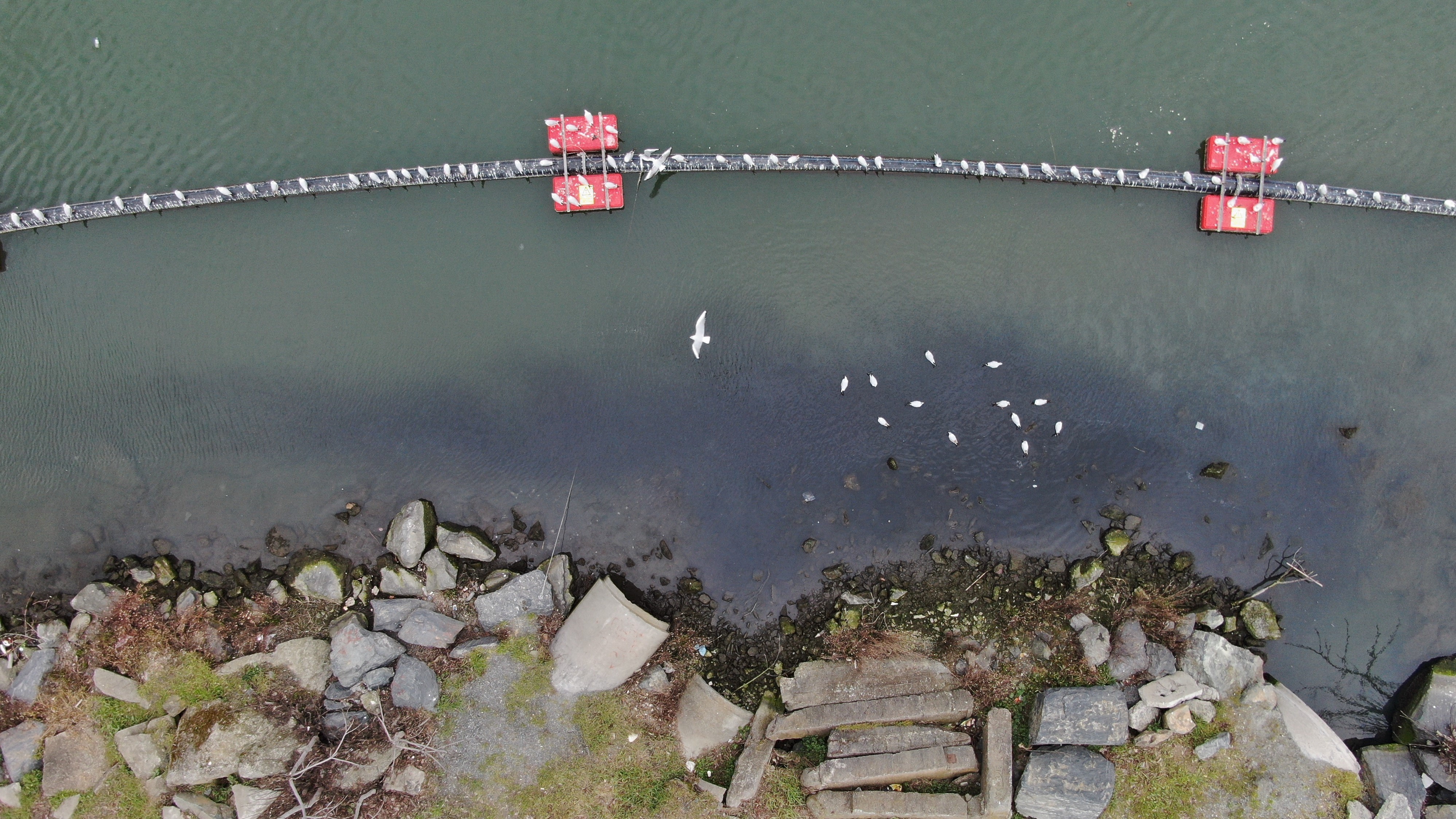 Eroğlu'ndan İBB'ye Haliç eleştirisi: 'Bakarsan bağ, bakmazsan dağ olur'
