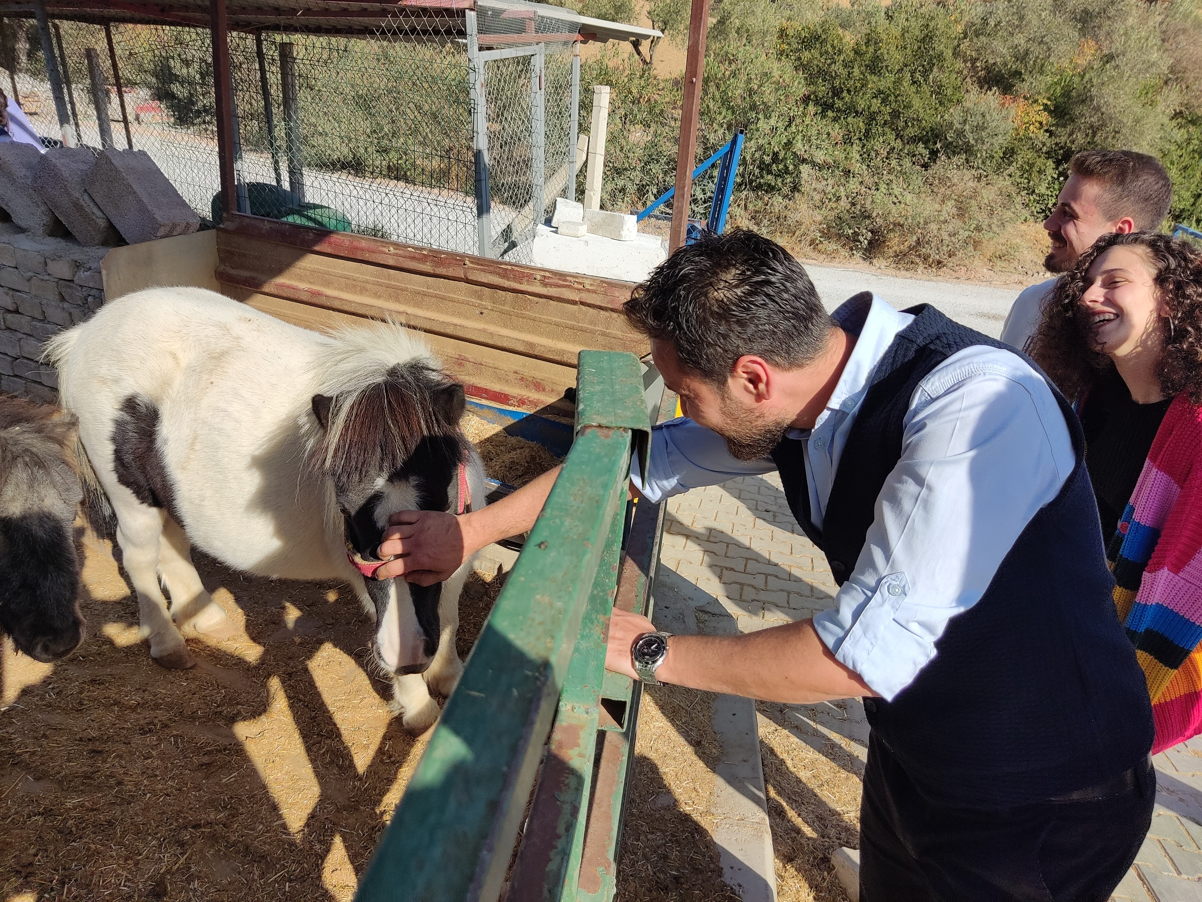 Üniversite öğrencileri, kurtarılmış hayvanlara umut oldu