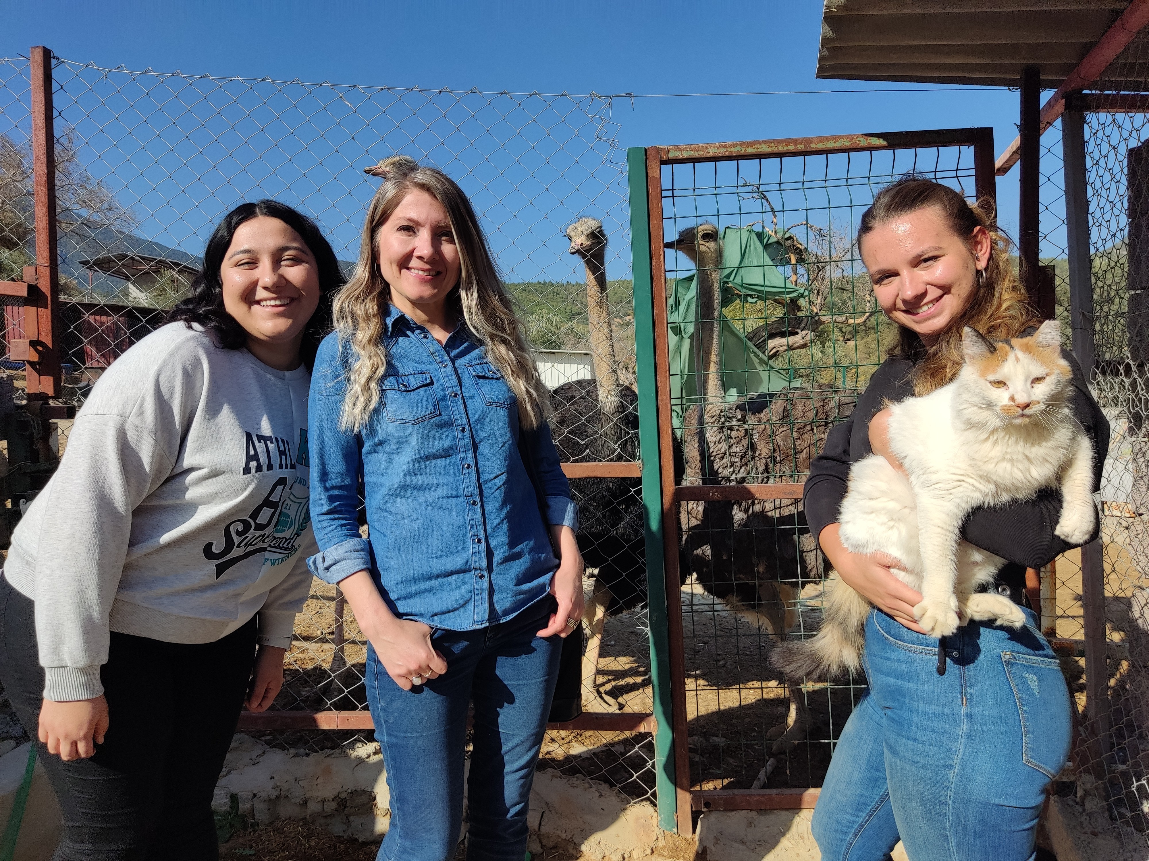 Üniversite öğrencileri, kurtarılmış hayvanlara umut oldu
