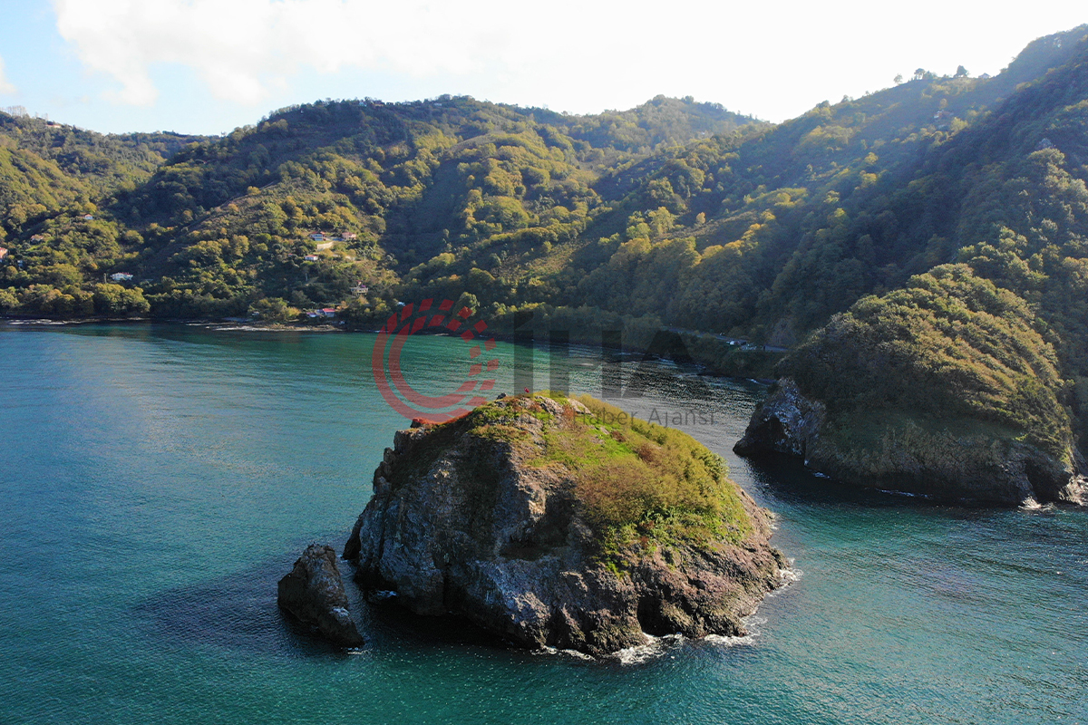 Ordu’nun kuş cenneti: Hoynat Adası