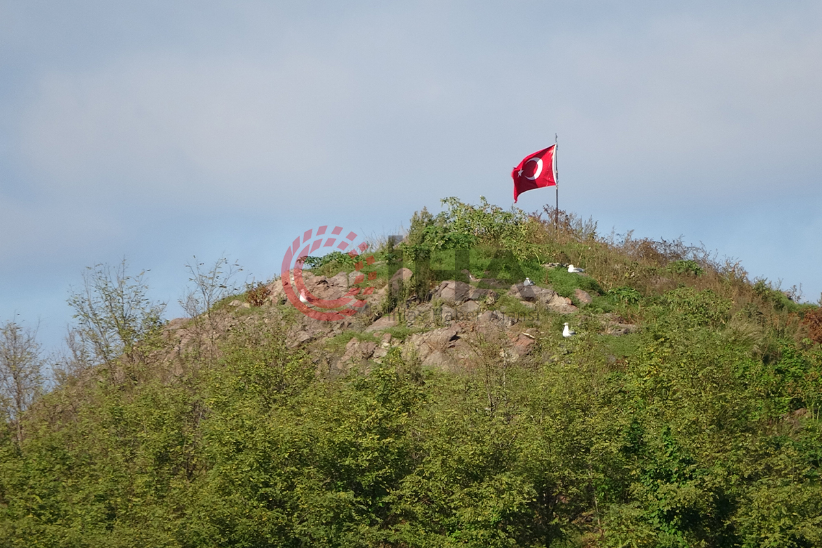 Ordu’nun kuş cenneti: Hoynat Adası