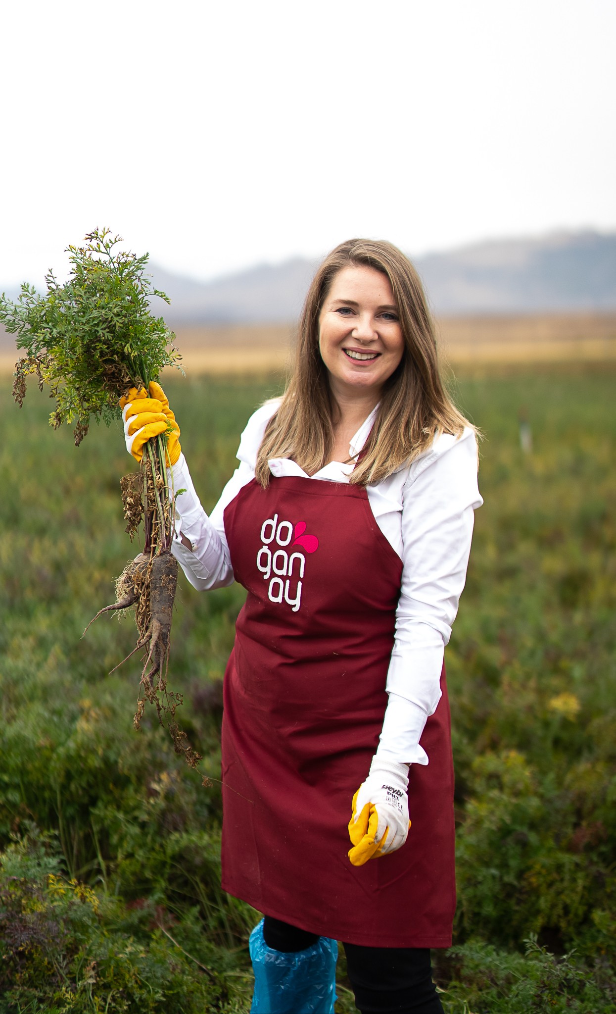 Şalgam suyunun yolculuğu, Konya’daki mor havuç hasadı ile başladı