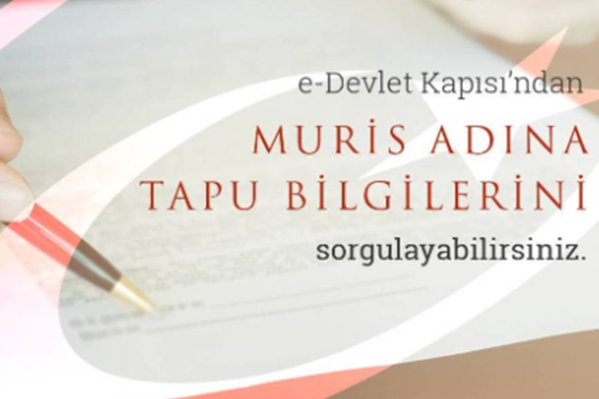 eDevlet'te Muris adına tapu bilgilerini açıldı İhlas Haber