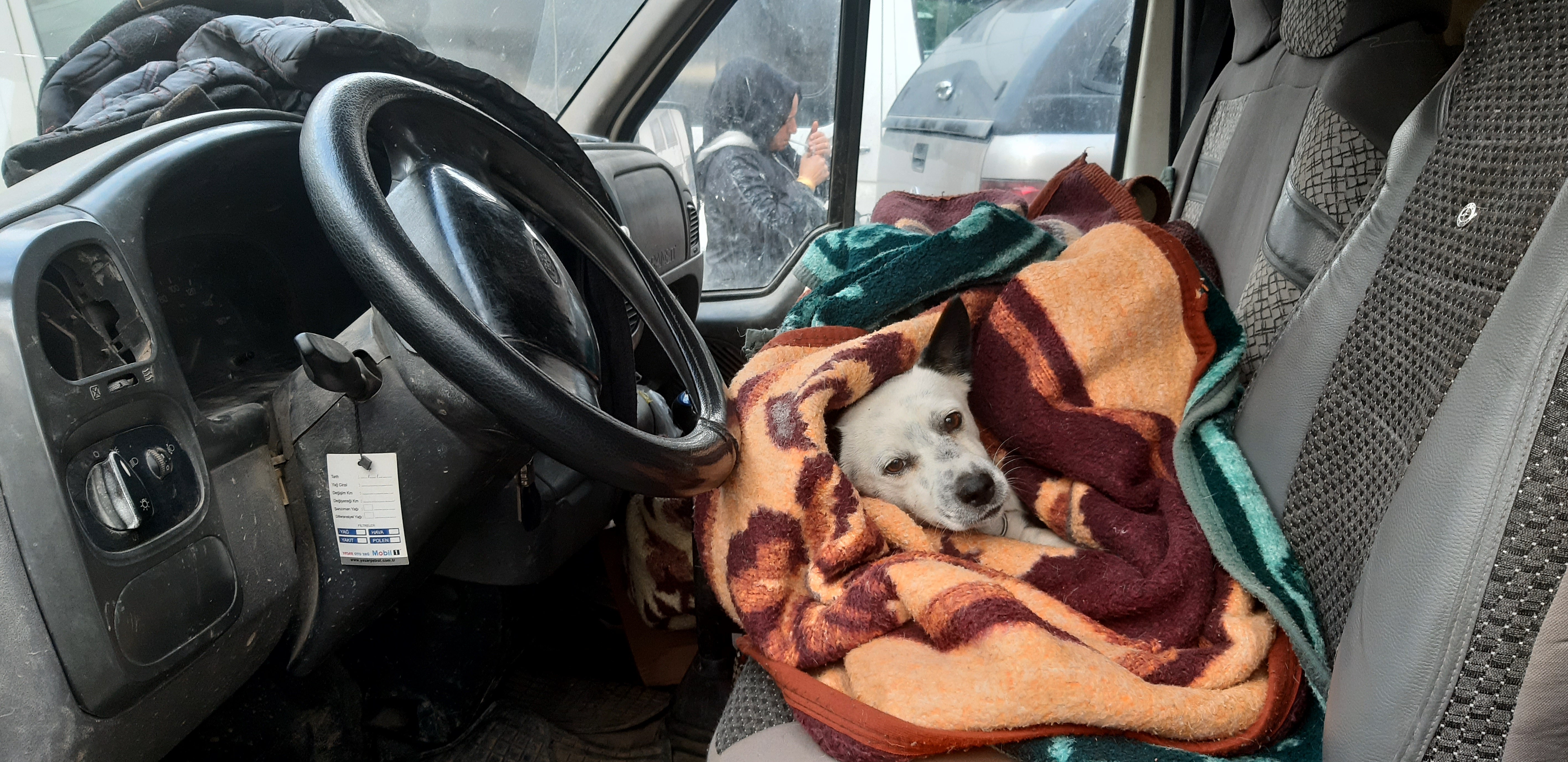 Yanından ayırmadığı Atlas'ını kaybetti