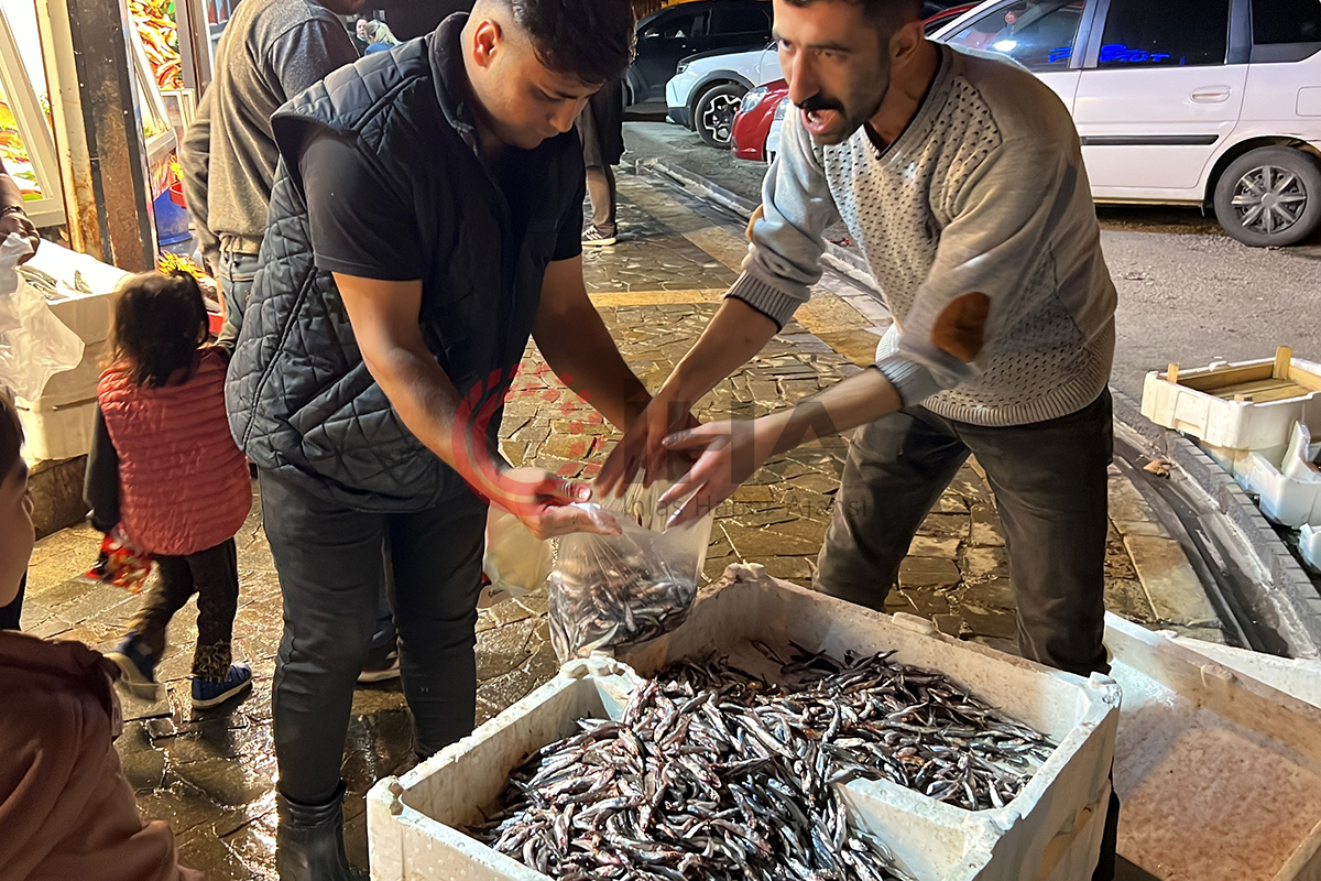 Bedava hamsi vatandaşları şaşırttı