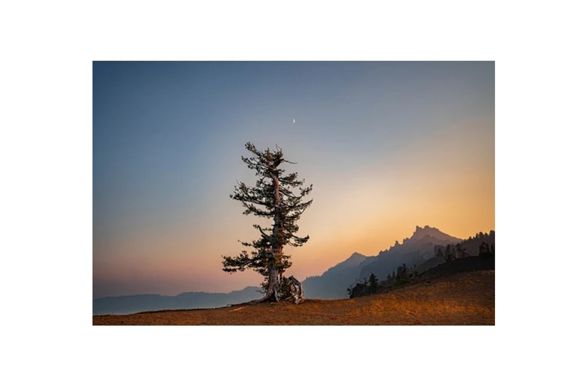 Elif Koyutürk, ‘Saf ve Güzel’ isimli yeni seçkisiyle, SanatBurada’da