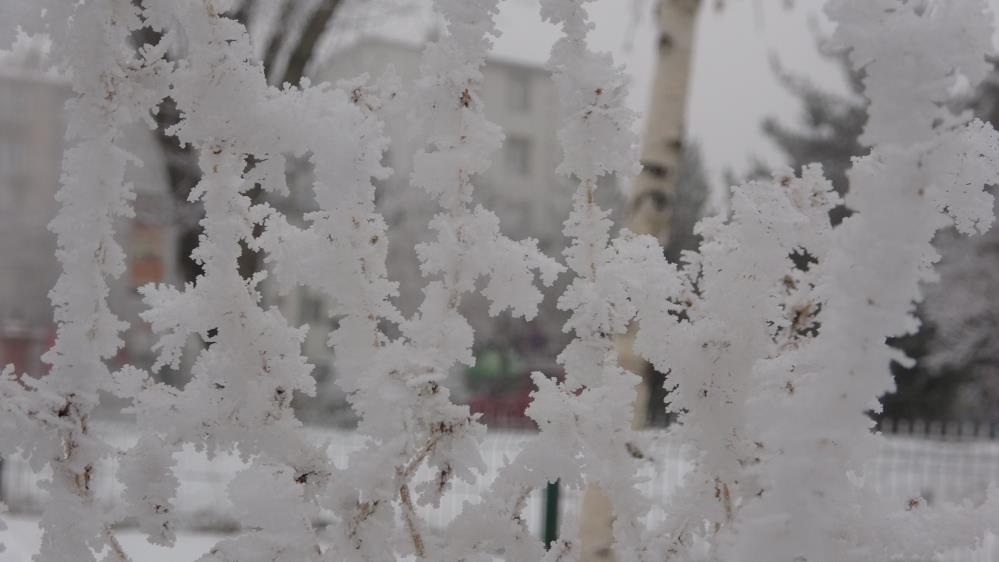 Ardahan eksi 16,7: Sibirya soğukları hayatı olumsuz etkiliyor