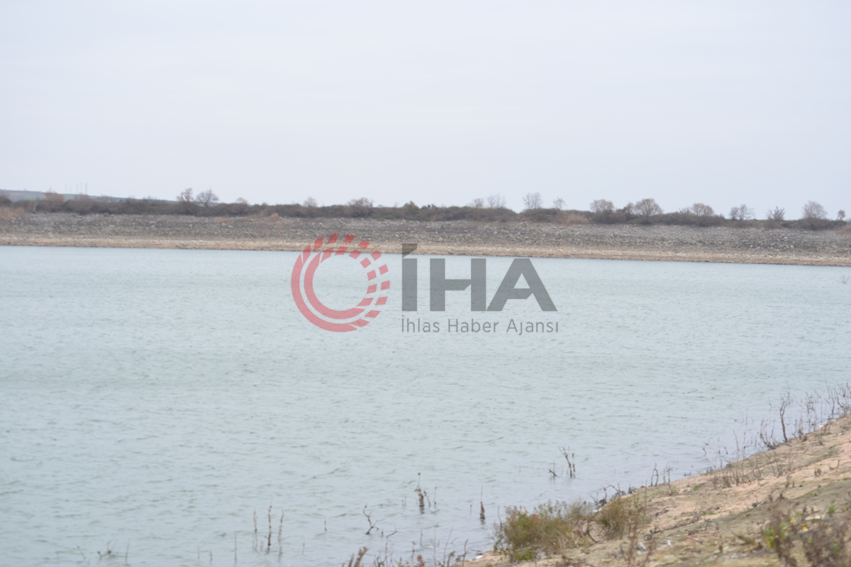 50 yıldır böyle kuraklık görülmedi: Dipteki ağaçlar ortaya çıktı