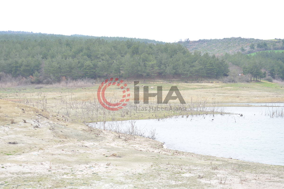 50 yıldır böyle kuraklık görülmedi: Dipteki ağaçlar ortaya çıktı