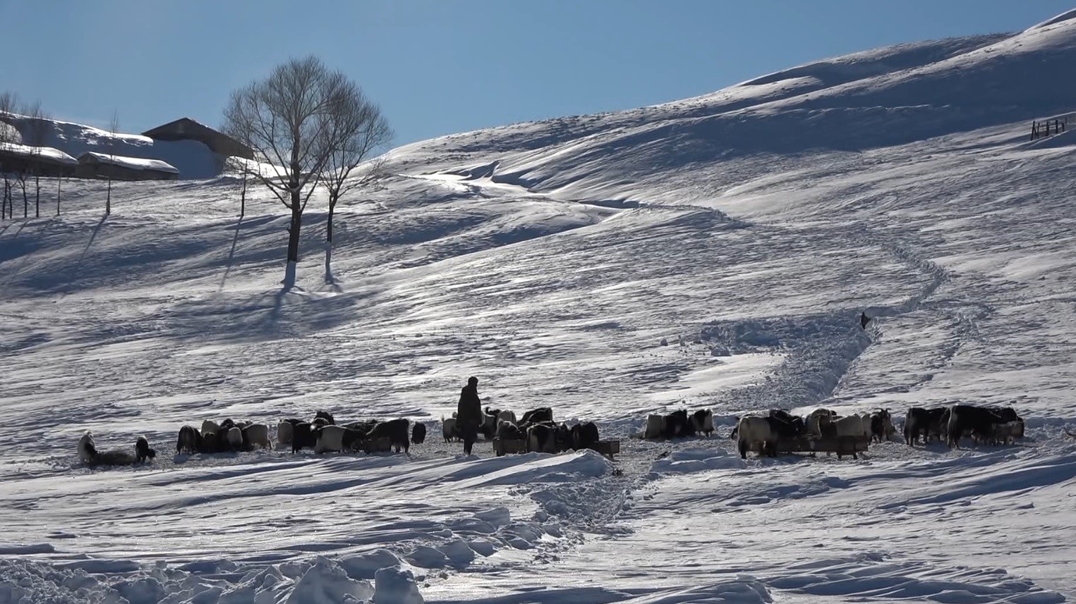 Yurdun büyük bölümü karın etkisinde. Yollar kapandı, sürücüler zor anlar yaşadı...