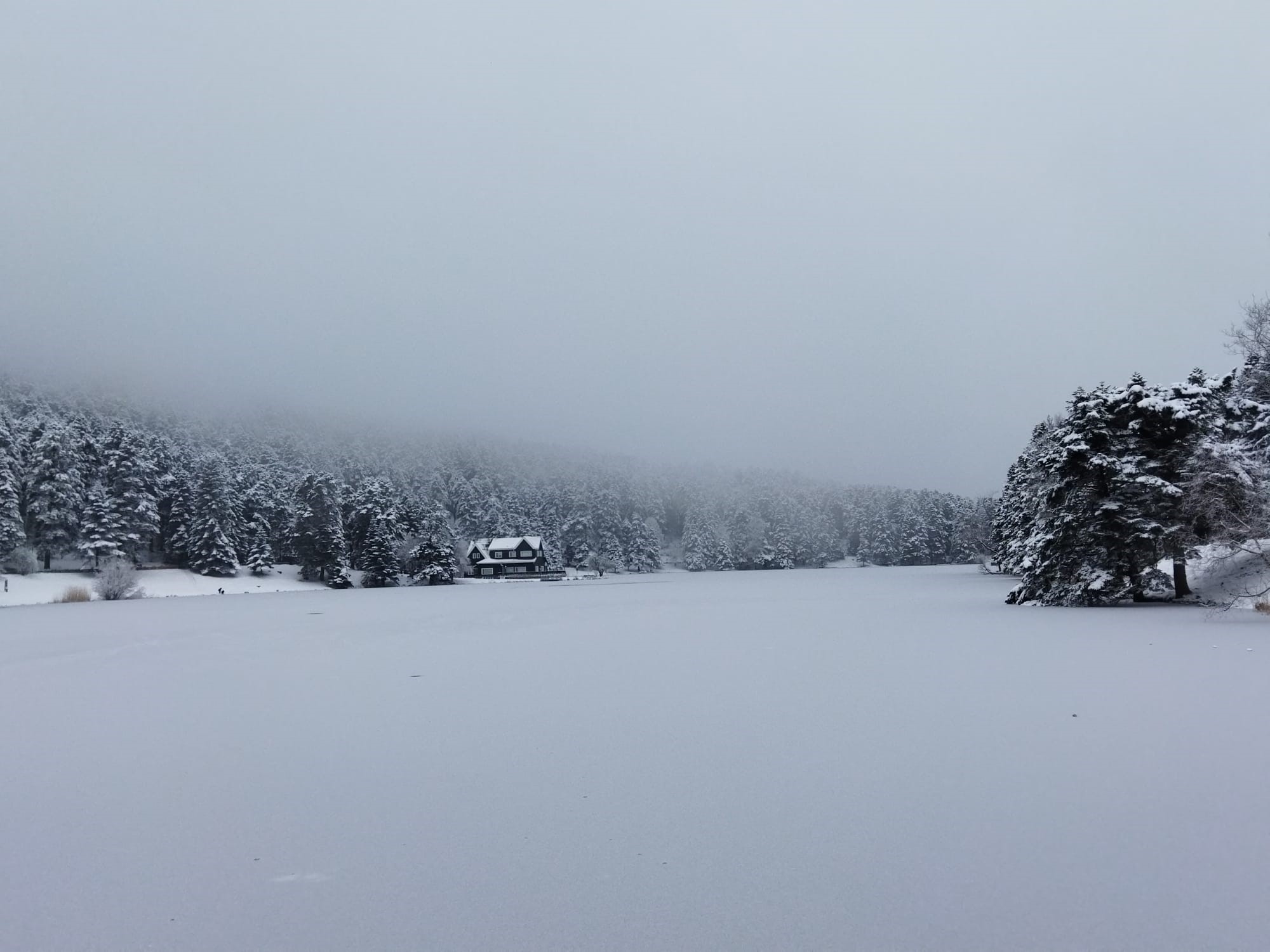 Gölcük Tabiat Parkı'nda göl dondu, ortaya kartpostallık görüntüler çıktı