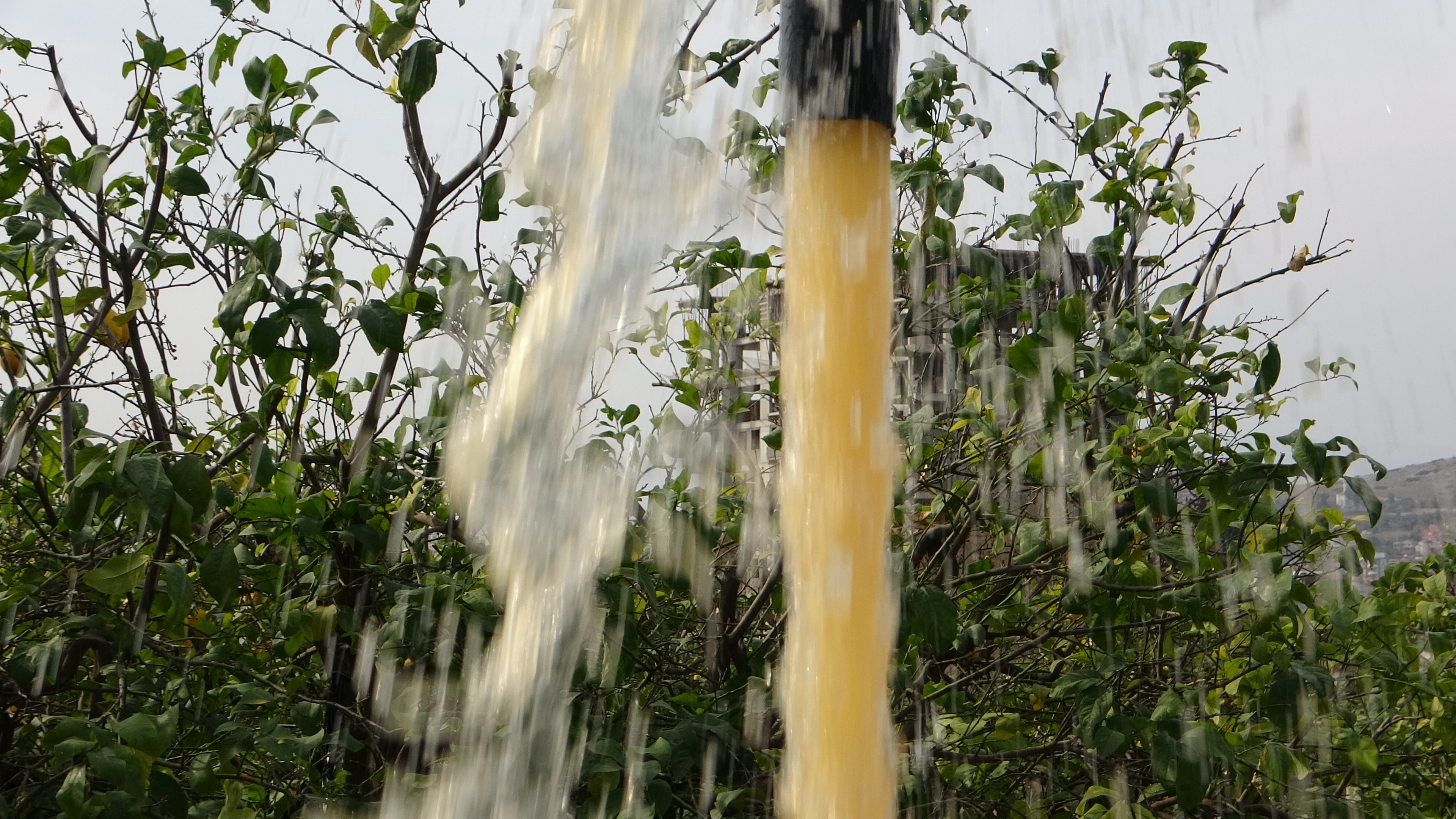 Narenciye üreticisi bahçe sularken fark etti: 'Su çamurlu akmaya başladı'