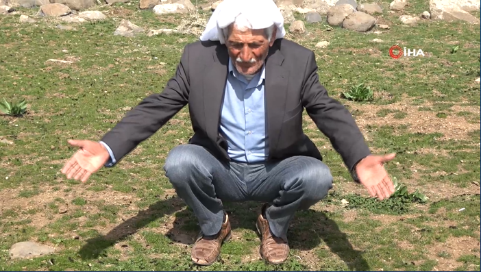 Şırnak'ta tırtıl istilası, köylüler tedirgin