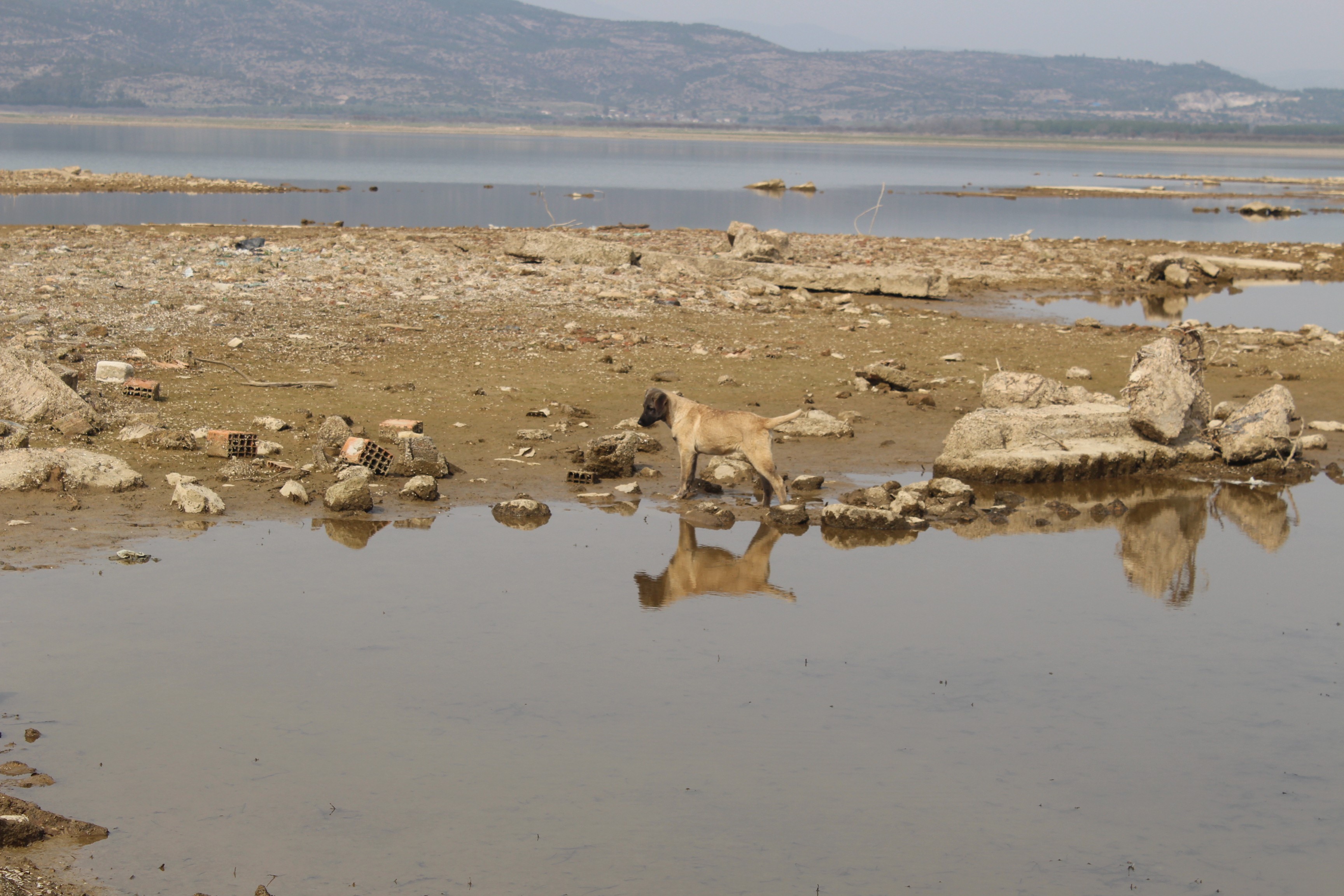 İzmir’de kuraklık sinyali
