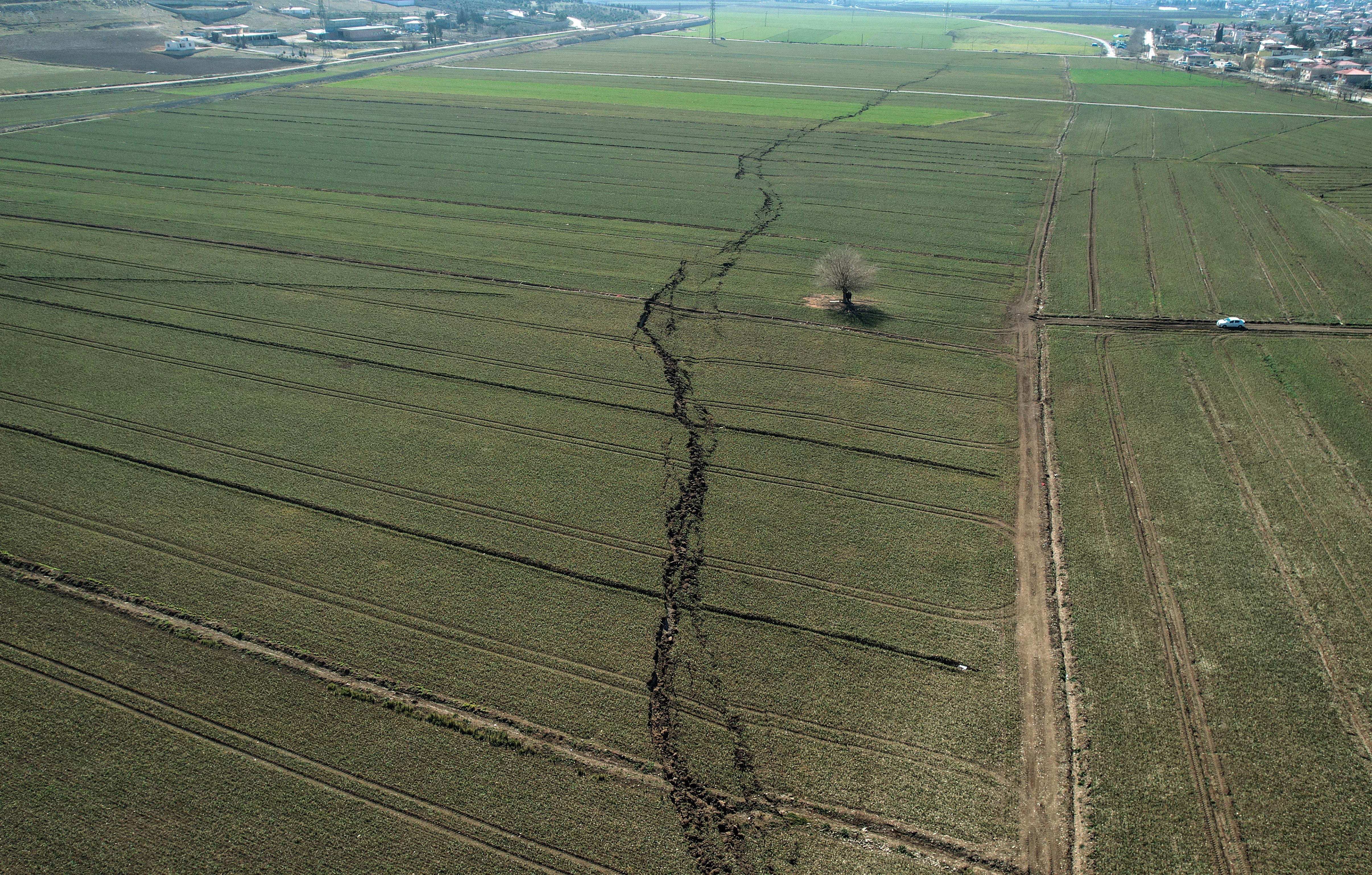 Şilili akademisyen, ülkesindeki deprem önlemlerini anlattı: 'İnsanlar inşaatı ciddiye alıyor'
