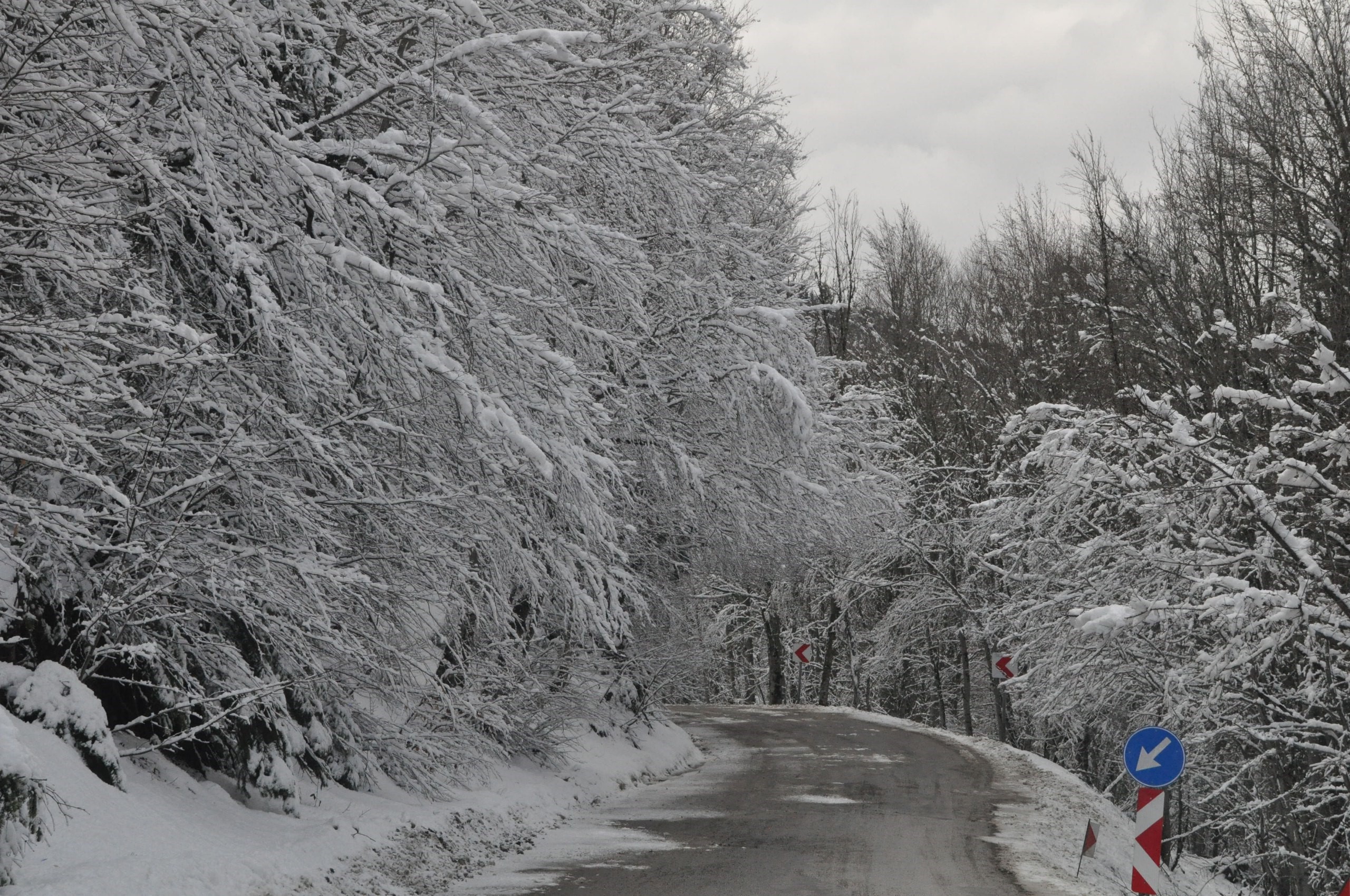Abant'ta Mart ayında kar sürprizi