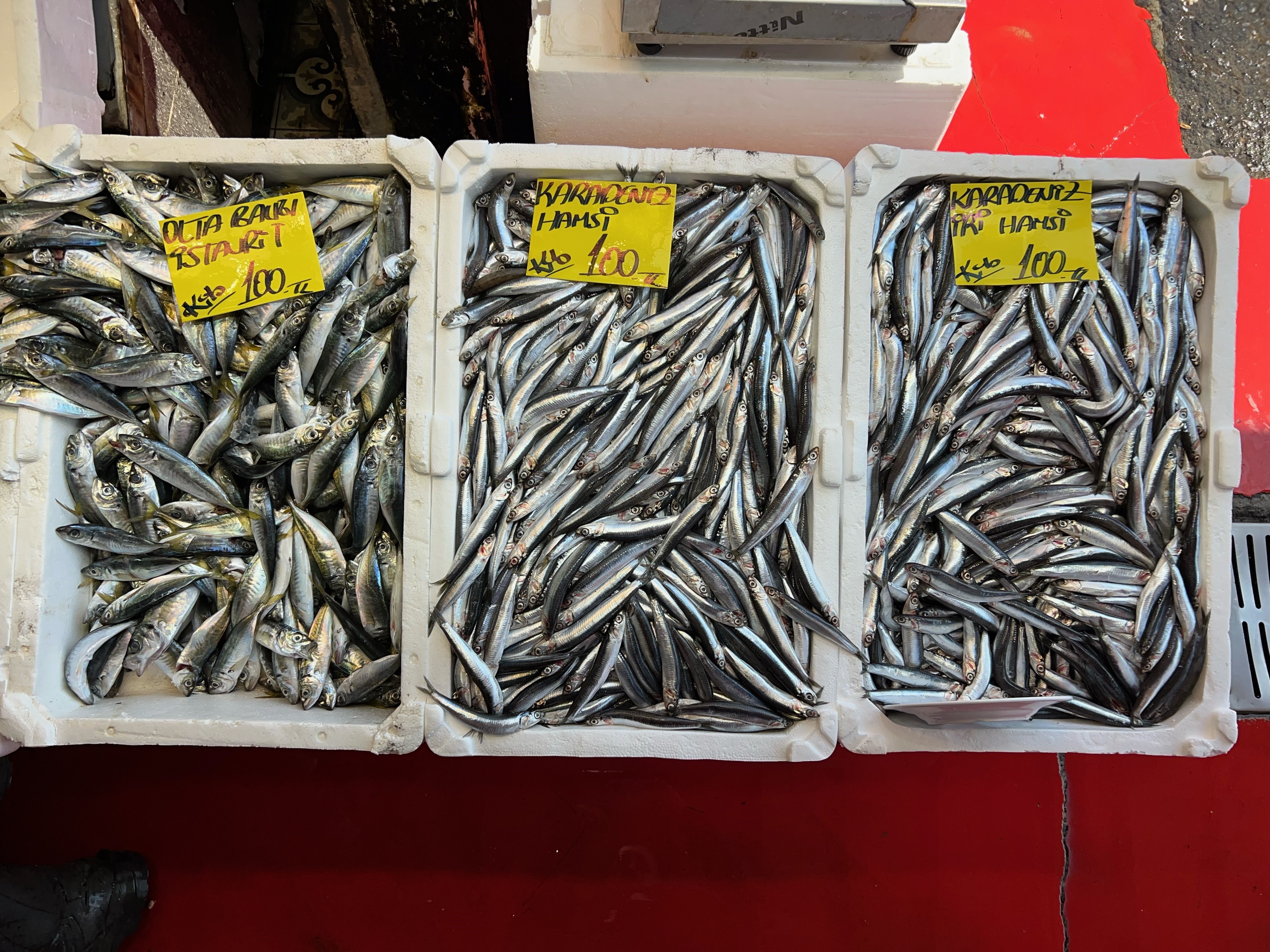 Balıkçılardan uyarı: 'Balık yemek isteyen vatandaşlar son bir ayı iyi değerlendirsinler'