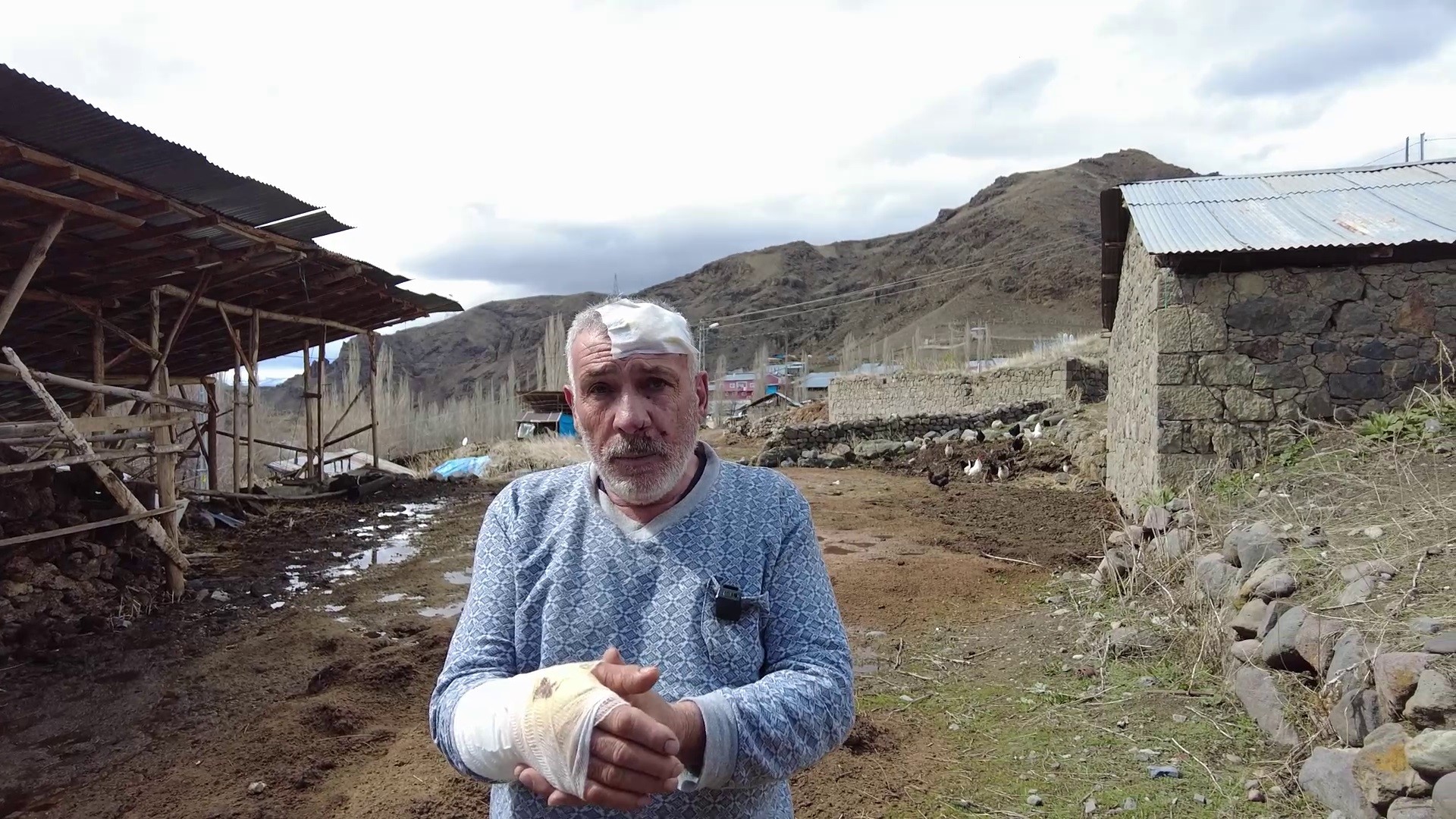 Erzurum’da kurt dehşeti: 5 yaralı