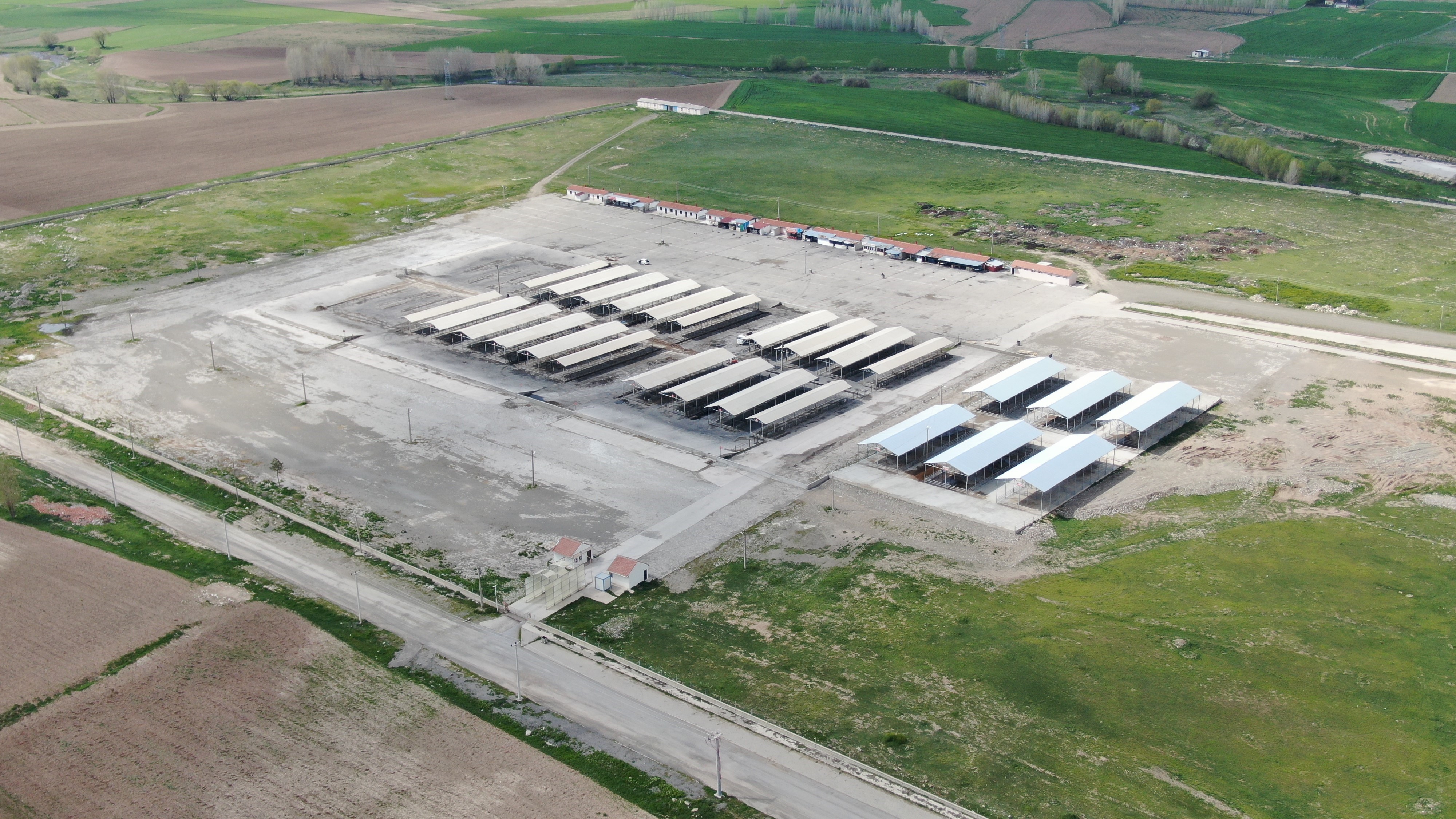 Türkiye'nin en büyük hayvan pazarı yeniden açılıyor