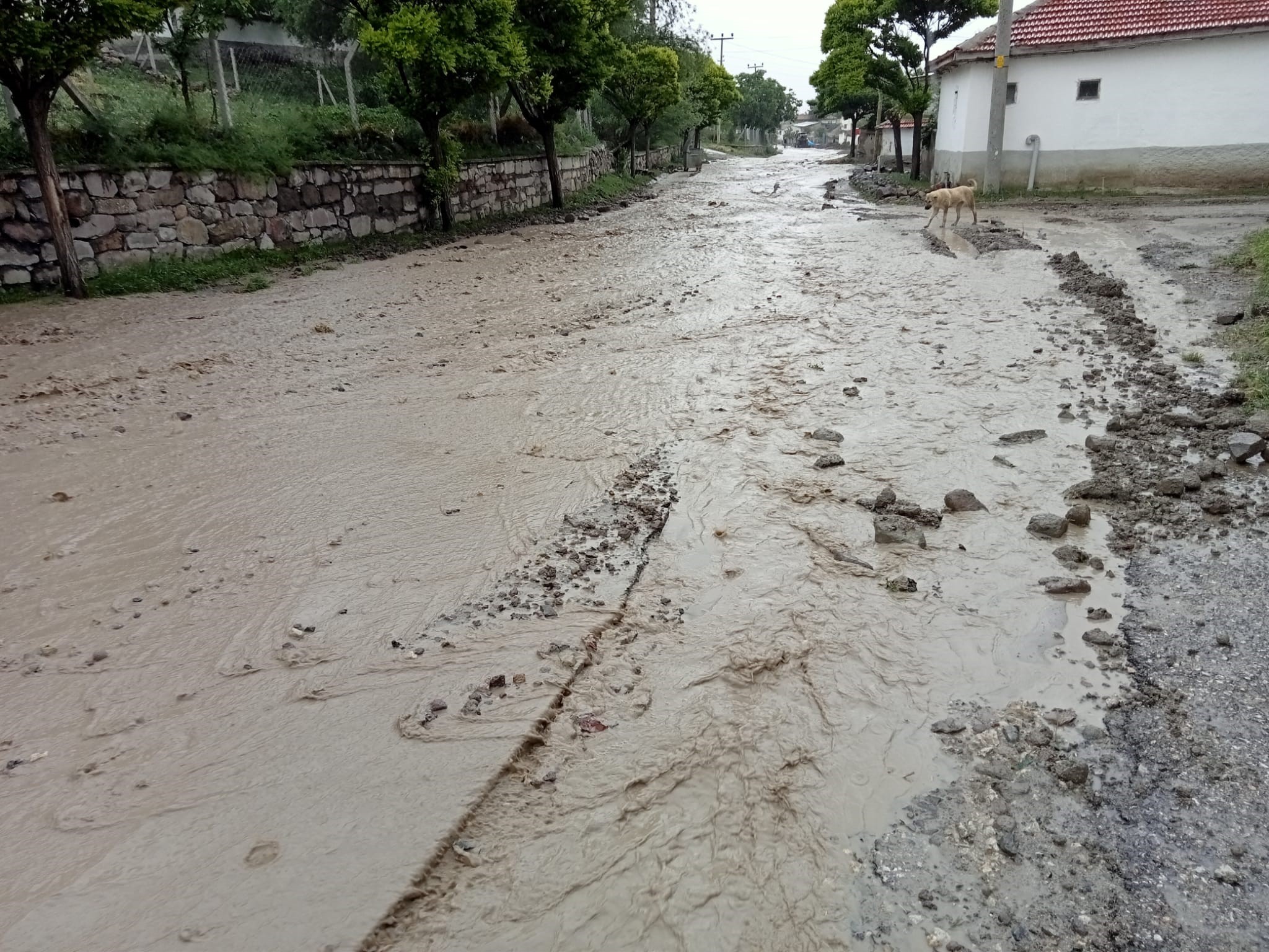 Ankara’da sel hayatı durma noktasına getirdi