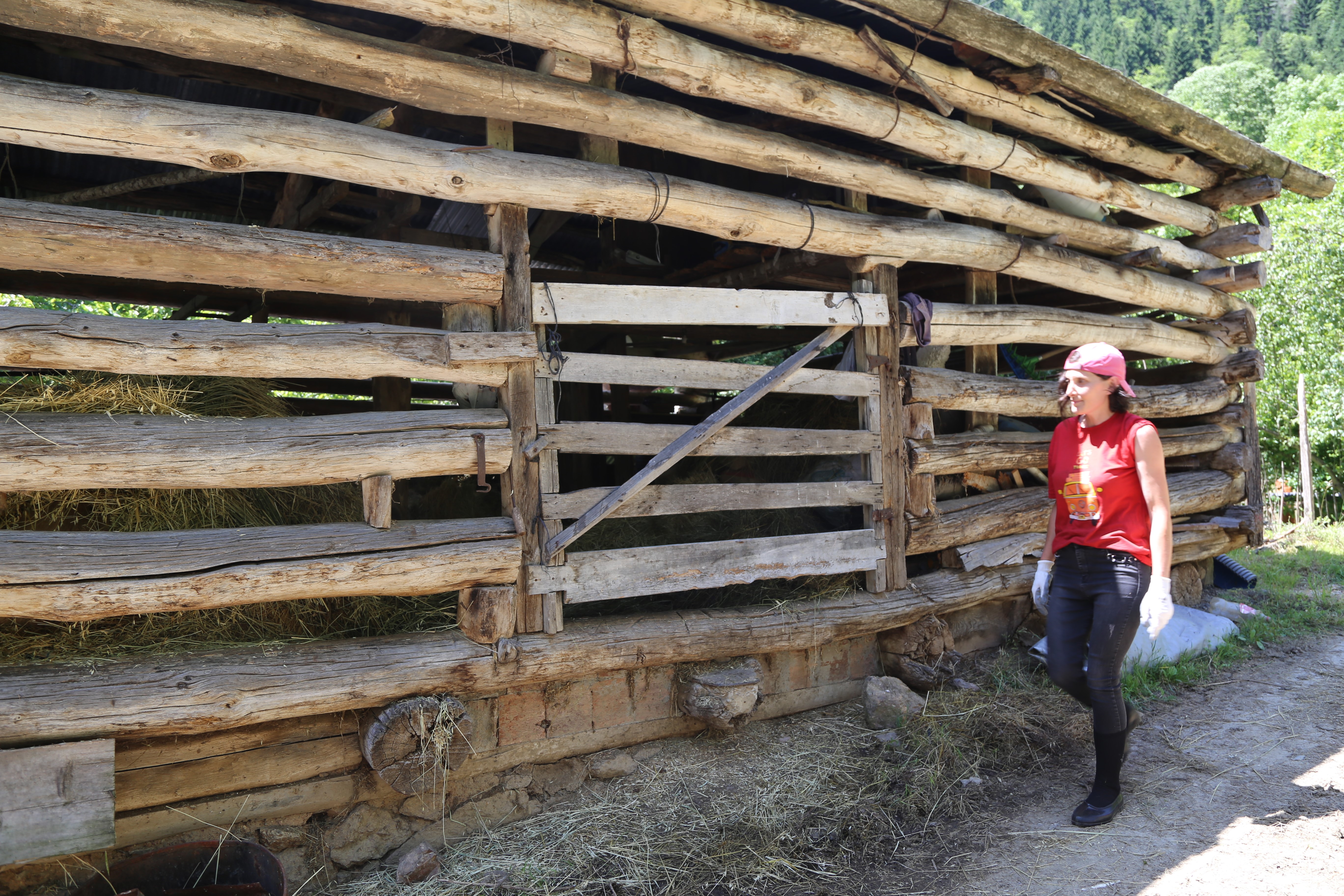 Köy yaşamıyla ilgili çektiği videolar kendisine gelir kapısı oldu