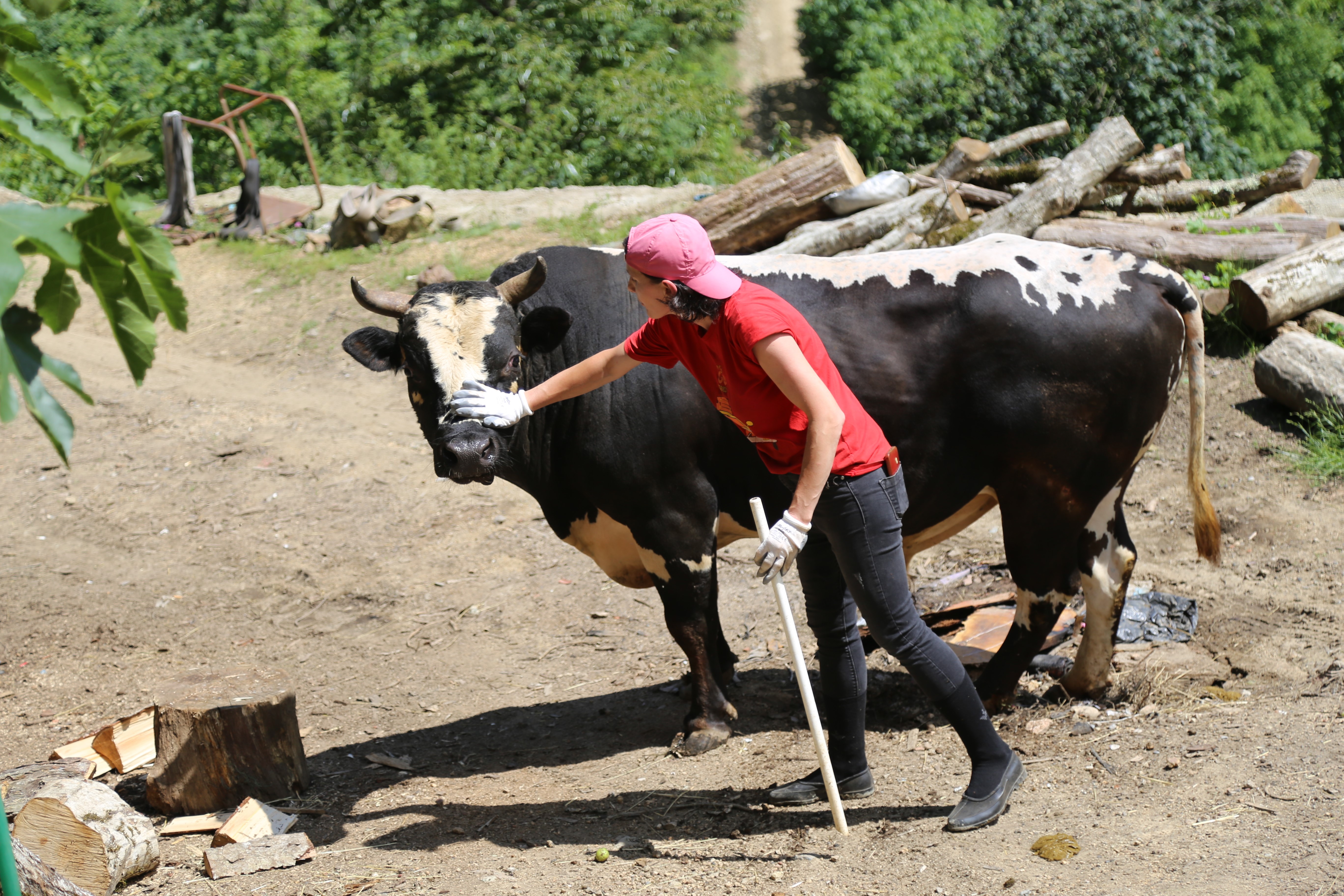 Köy yaşamıyla ilgili çektiği videolar kendisine gelir kapısı oldu