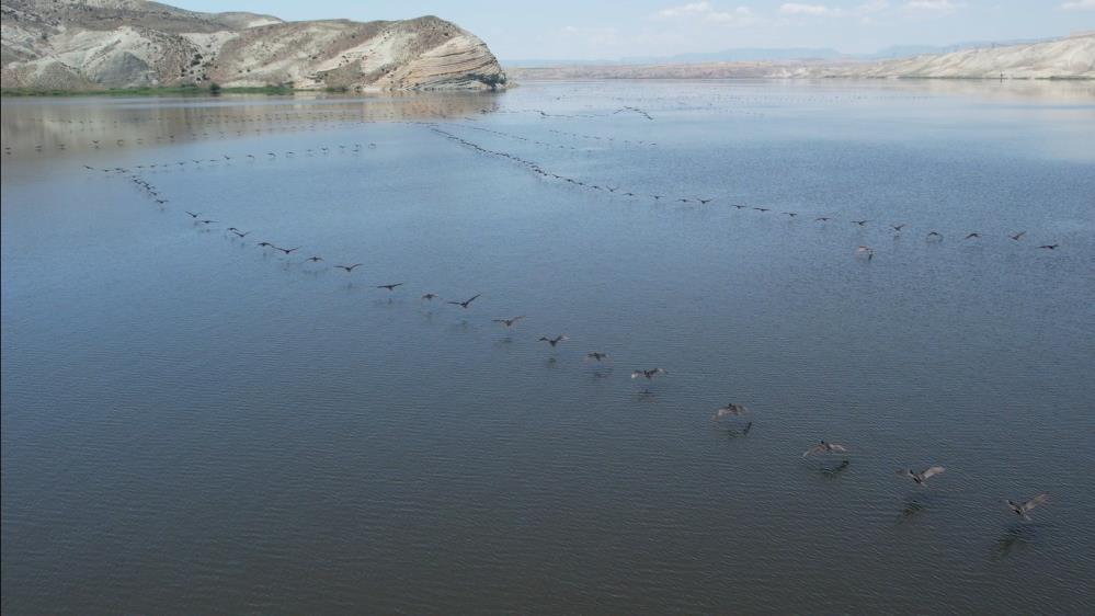 Mavi ile yeşilin bir arada bulunduğu Ankara’nın denizi: Çayırhan Gölü