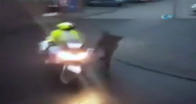 Avrupa’nın göbeğinde polis rezaleti! Hollanda,polis