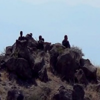 Iğdır da polisi şehit eden PKK lılar öldürüldü