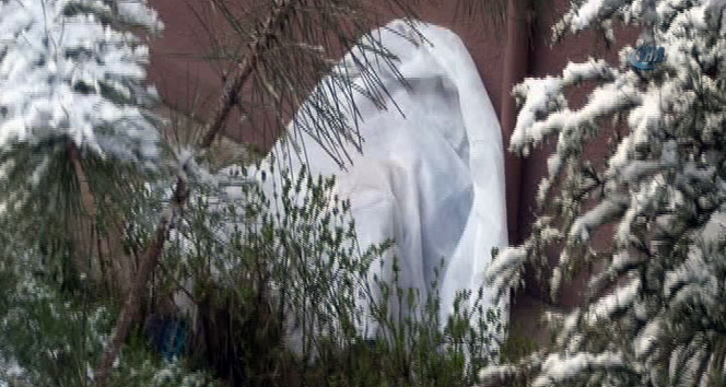 Avukat apartman bahçesinde ölü bulundu&nbsp;avukat,bahçe,ev,ölü bulundu