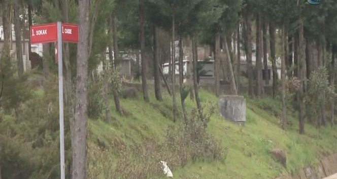 Sultanahmet bombacısı kimsesizler mezarlığına defnedildi&nbsp;bomba,sultanahmet