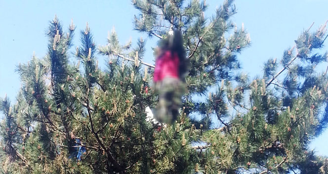 Ormanlık alanda ’ceset’ kurtarma operasyonu&nbsp;