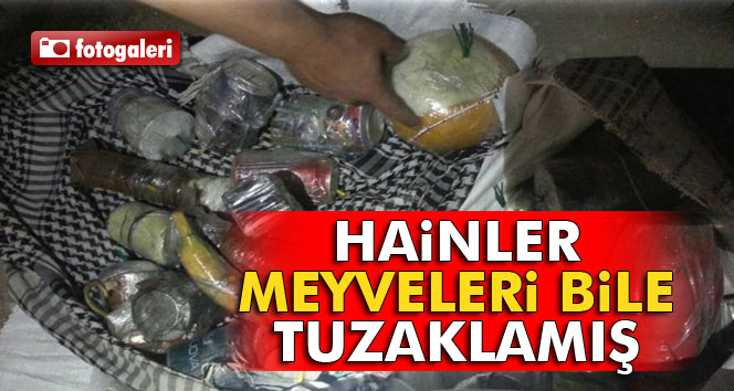 Hainler meyveleri bile tuzaklamış