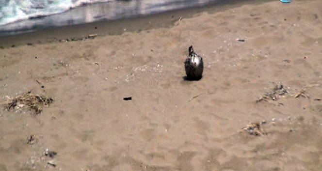 İstanbulda sahilde mayın bulundu!