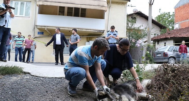 Evinin karşısına tuvaletini yapan köpeği ve sahibini vurdu