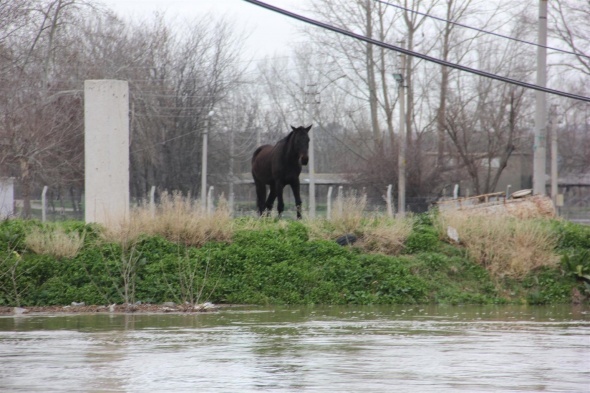 Tunca Nehriânde alarmın rengi âkırmızıâ oldu