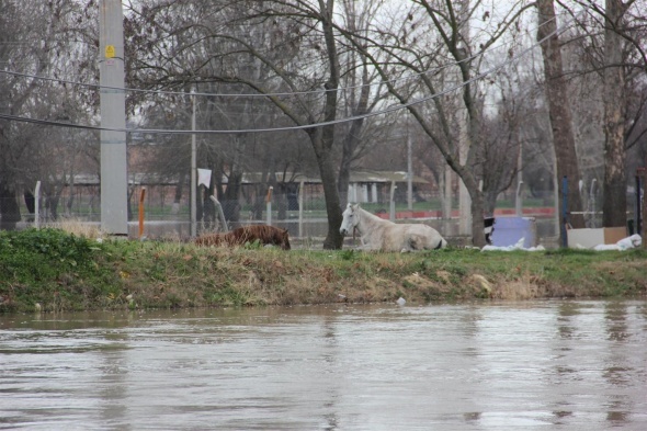 Tunca Nehriânde alarmın rengi âkırmızıâ oldu