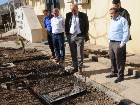 ÅÄ±rnakâta Ã§Ã¶l varanÄ± bulundu