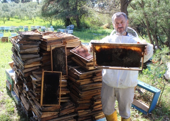 Ãamur yaÄmasÄ±ndan dolayÄ± baÅladÄ±, artarak devam ediyor