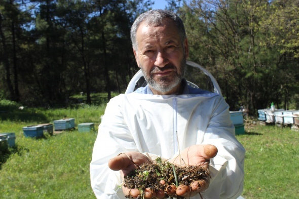 Ãamur yaÄmasÄ±ndan dolayÄ± baÅladÄ±, artarak devam ediyor