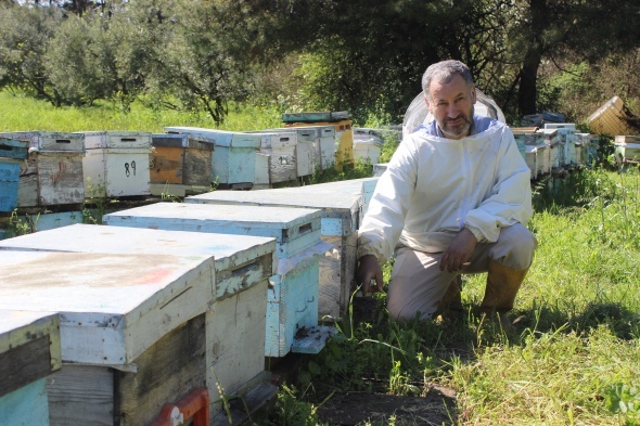 Ãamur yaÄmasÄ±ndan dolayÄ± baÅladÄ±, artarak devam ediyor