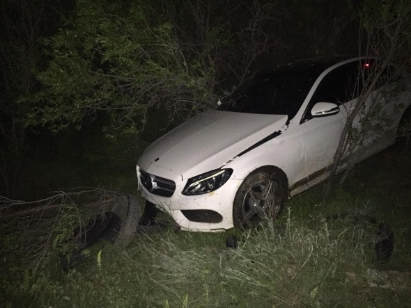BeyÅehirâde karayoluna dÃ¶kÃ¼len hayvan dÄ±ÅkÄ±sÄ±, kazalara yol aÃ§tÄ±