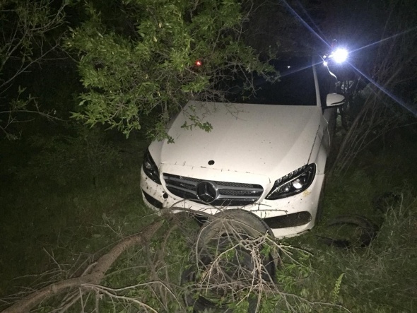 BeyÅehirâde karayoluna dÃ¶kÃ¼len hayvan dÄ±ÅkÄ±sÄ±, kazalara yol aÃ§tÄ±